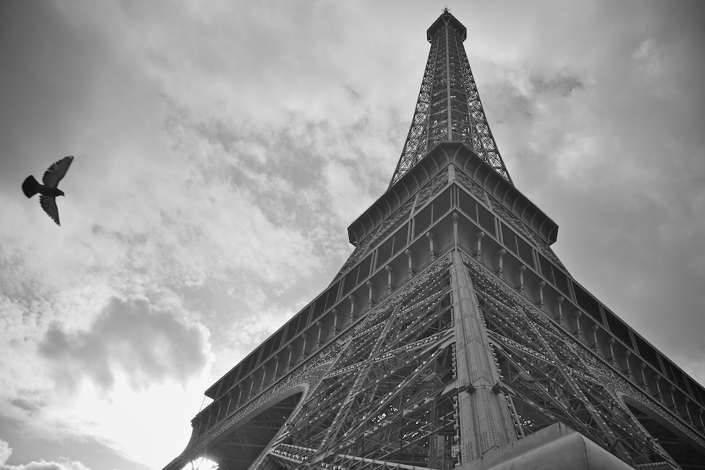 Colombe Tour Eiffel