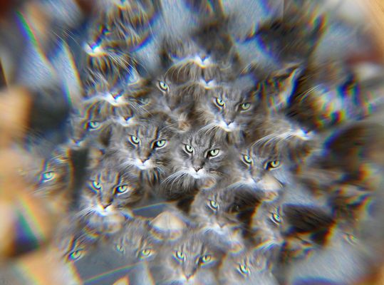 Colombo ist nun überall