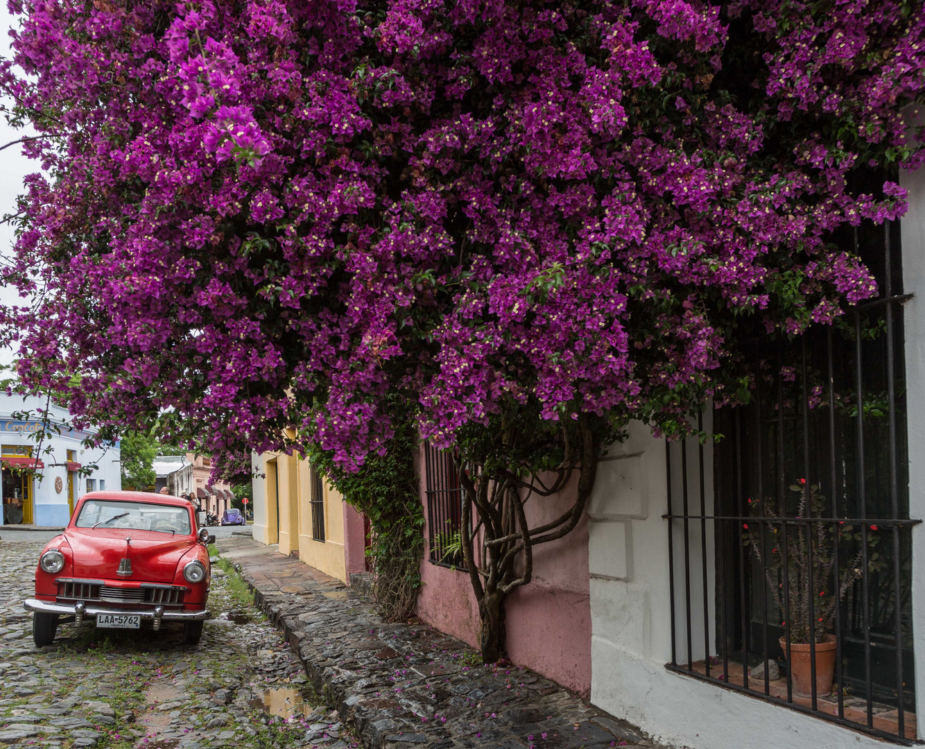 Colonia - una ciudad con mucha historia I