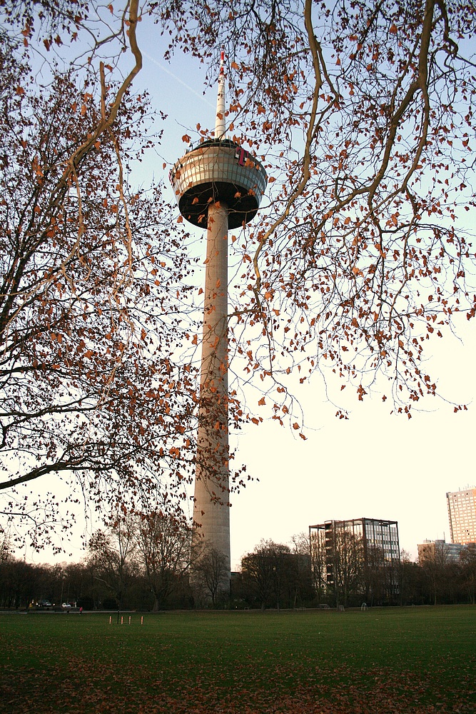 Colonius - Kölner Fernsehturm (2) (29.11.2011)