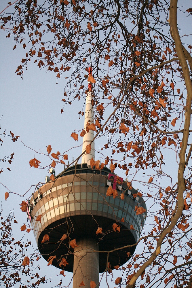 Colonius - Kölner Fernsehturm (3) (29.11.2011)