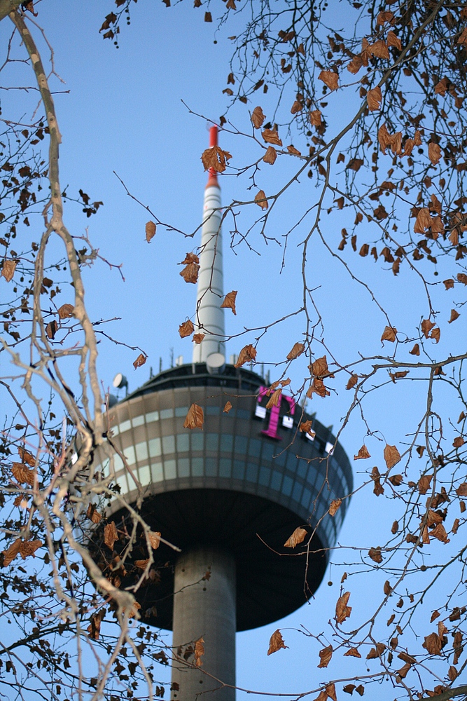 Colonius - Kölner Fernsehturm (5) (29.11.2011)