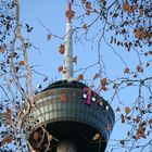 Colonius - Kölner Fernsehturm (5) (29.11.2011)