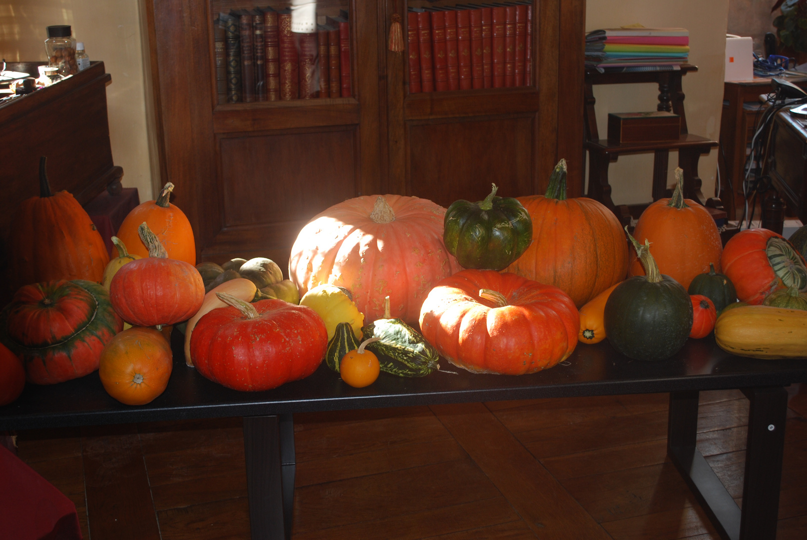 coloquintes et citrouilles