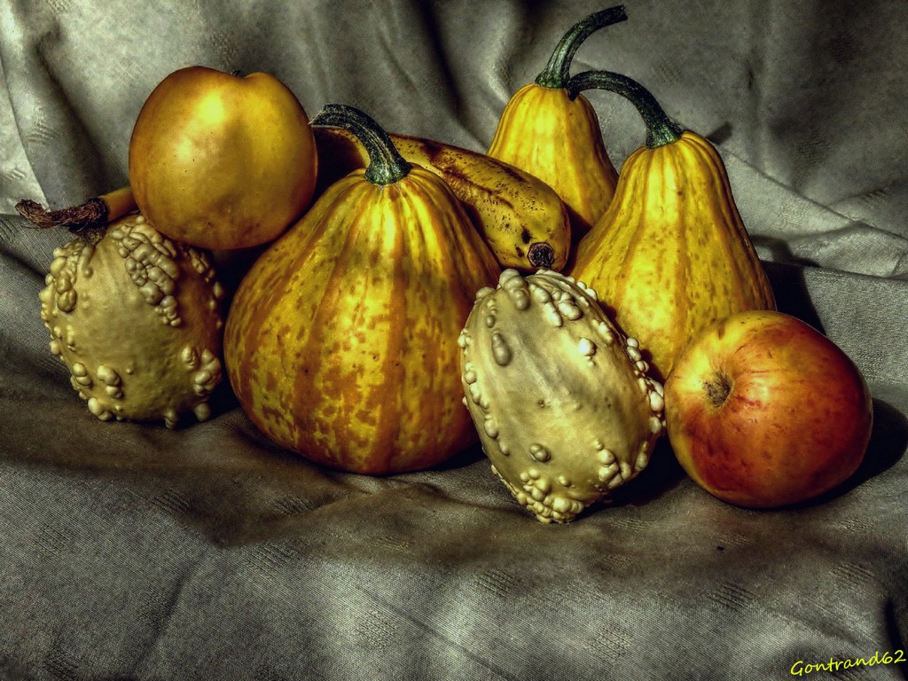 coloquintes et fruits