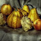 coloquintes et fruits