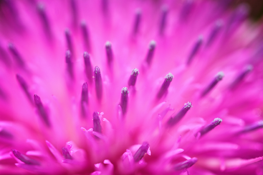 Color