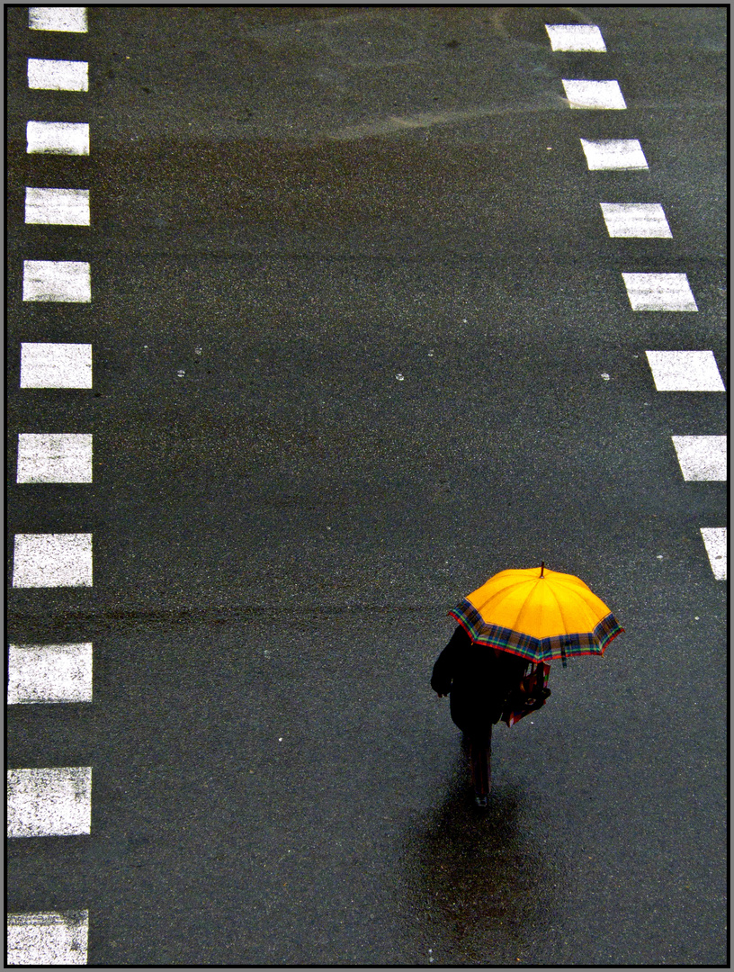 Color bajo la lluvia