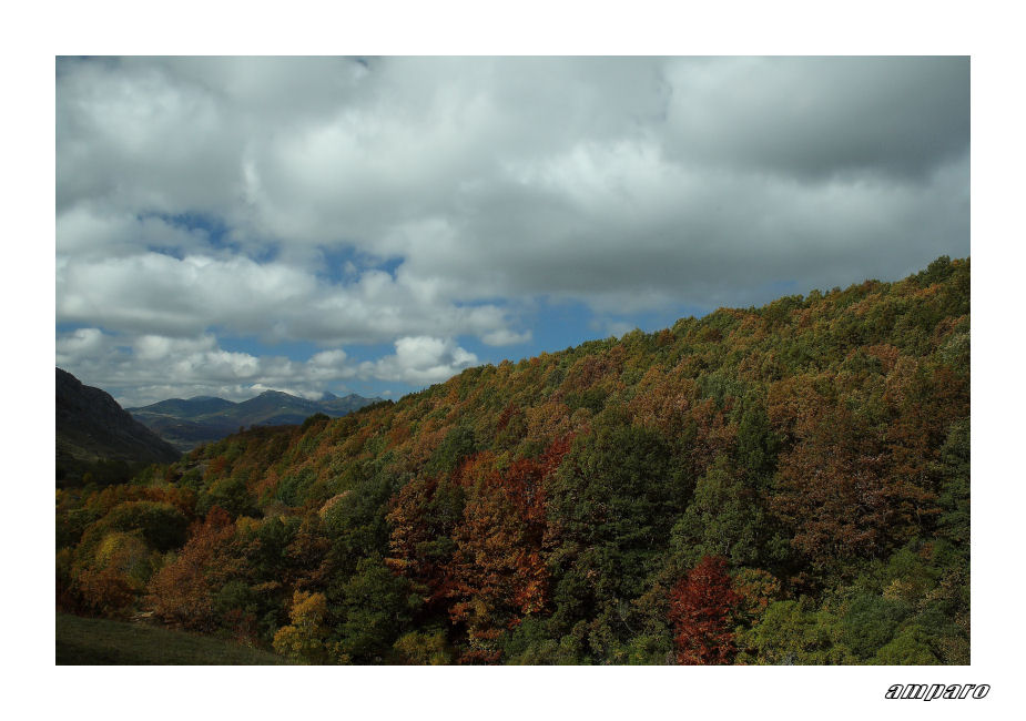 color de otoño