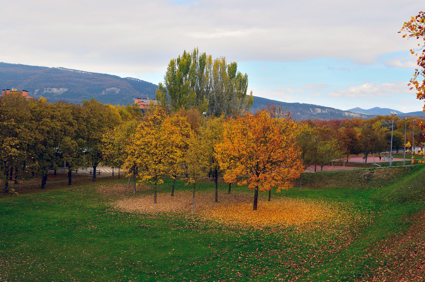 Color de otoño