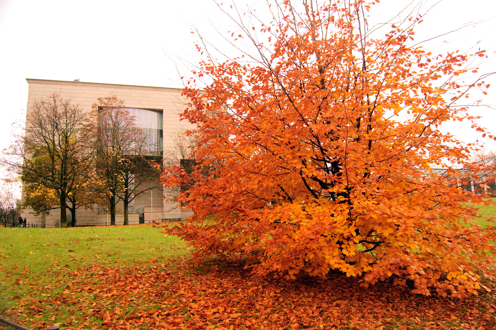 COLOR DE OTOÑO EN MUNICH