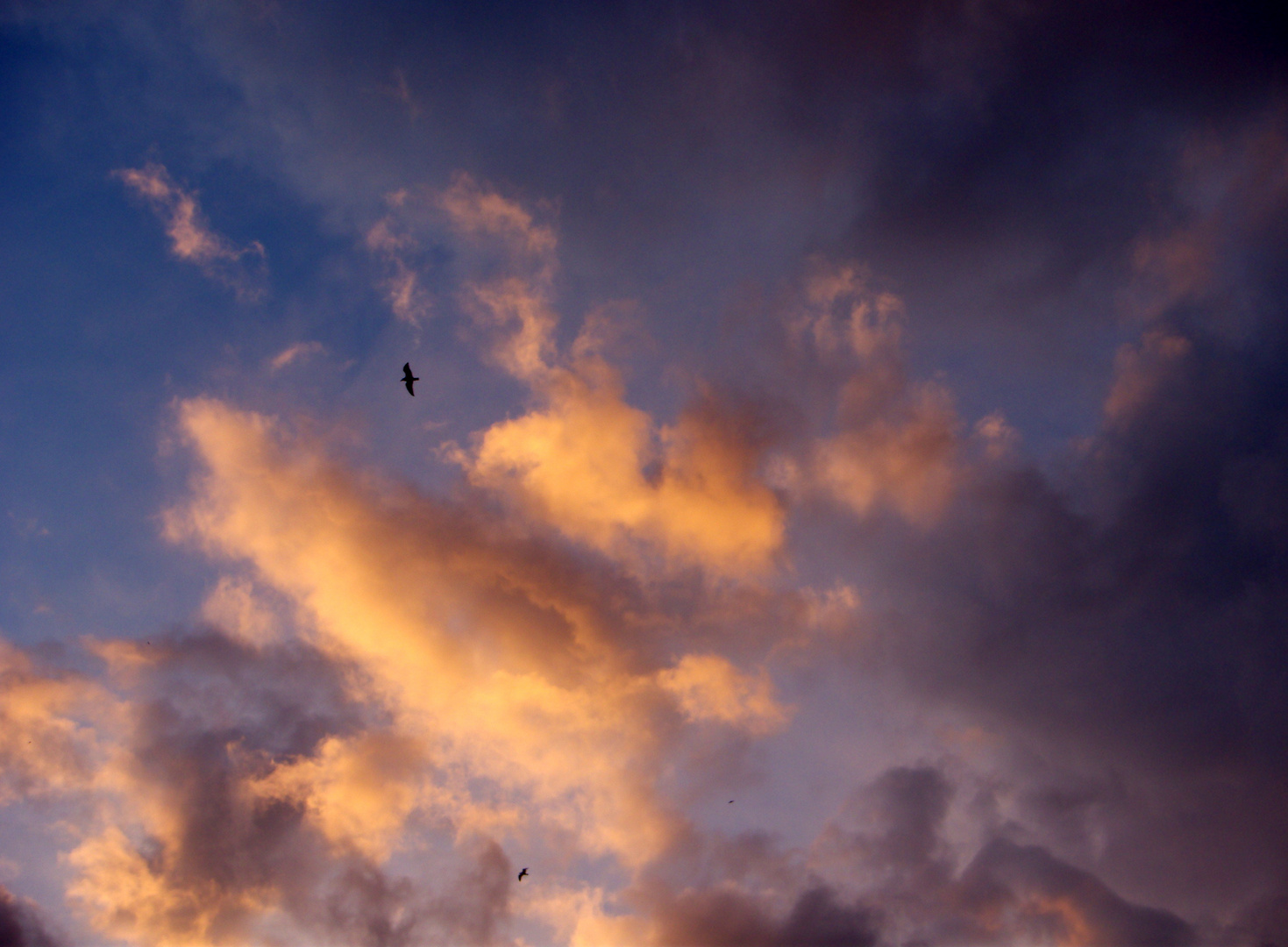 COLOR EN EL CIELO