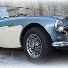 Color Foto Wettbewerb; Austin Healey MK1 3000