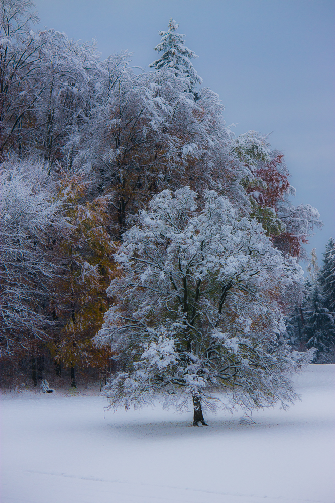 Color in the snow :)