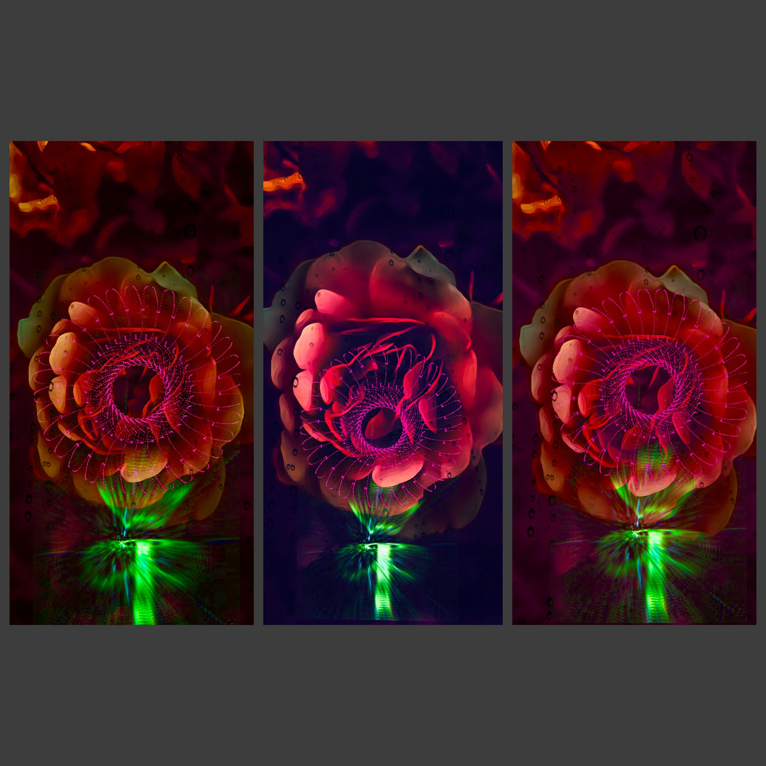 Color light plants Foto & Bild spezial, natur, composing Bilder auf