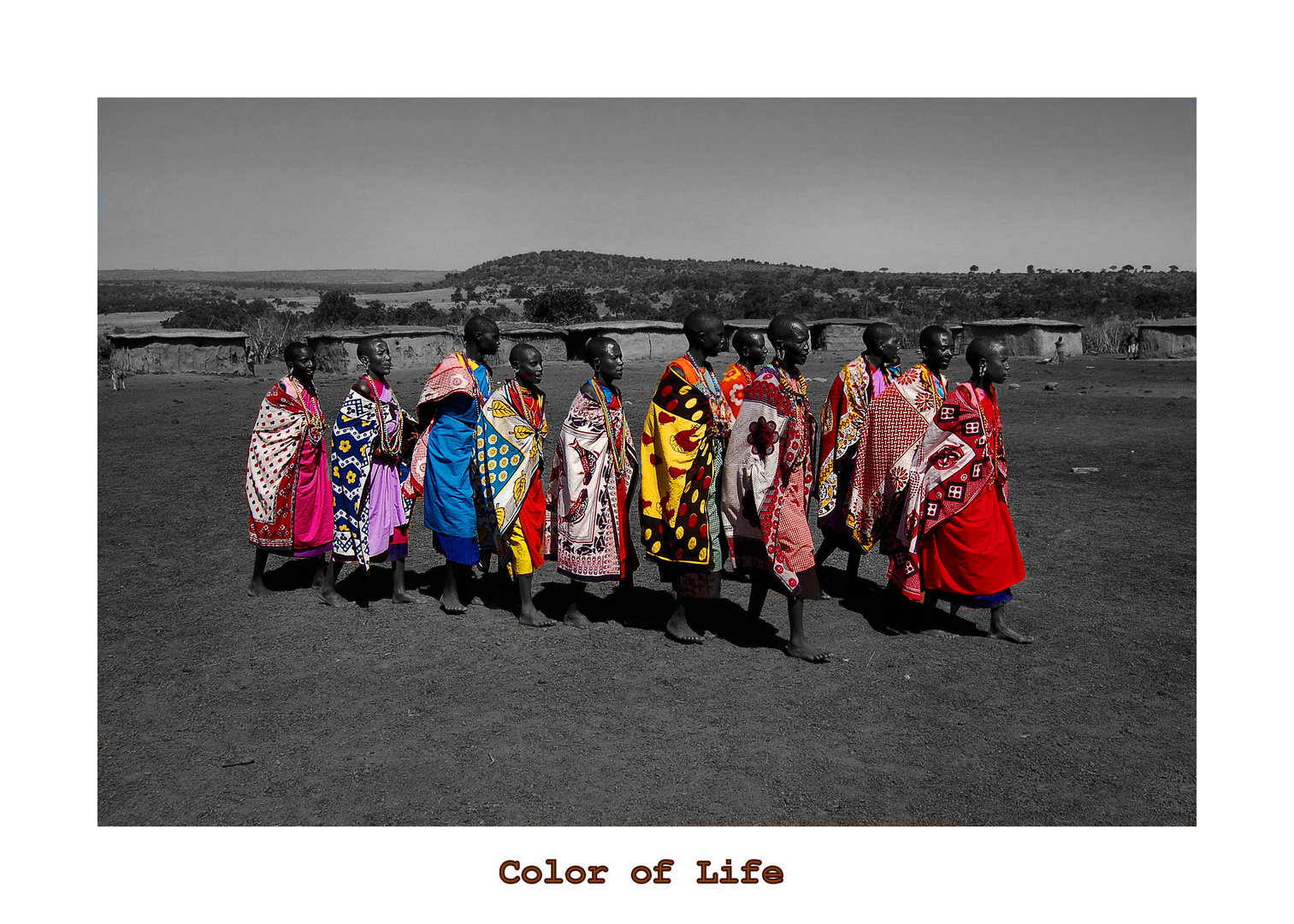 color of life