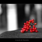 Color of Passion