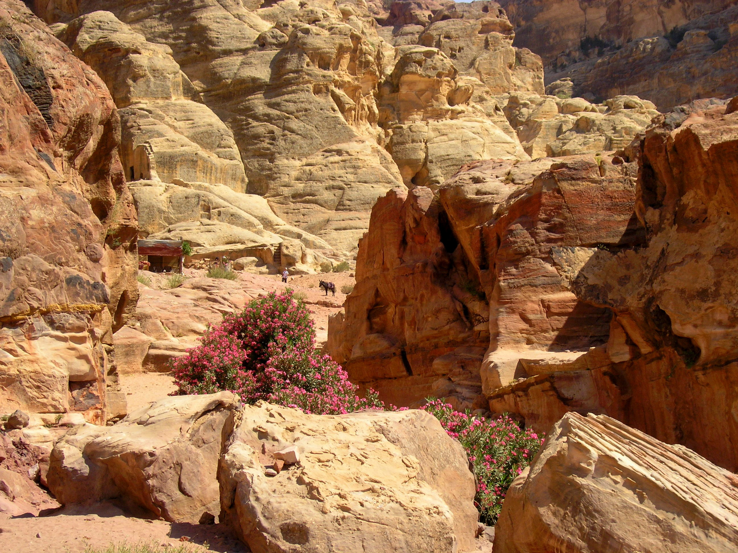 Color of stone Petra