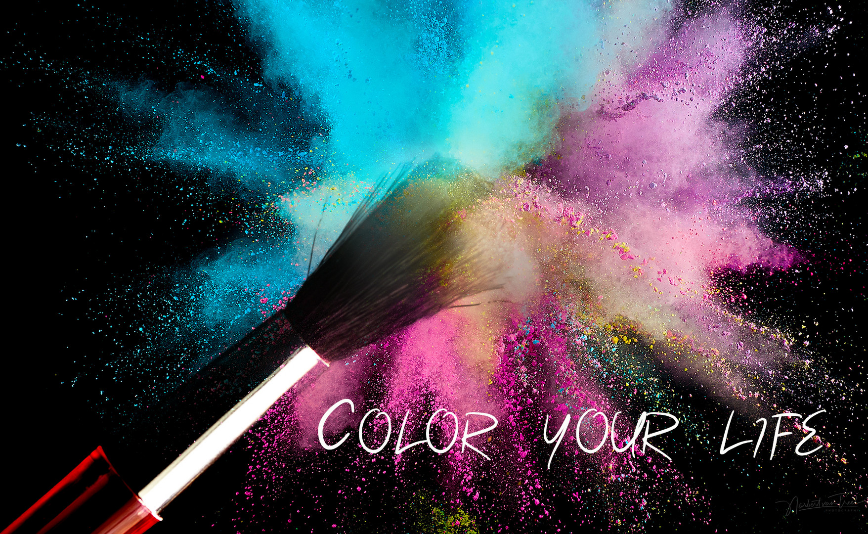 color your life ...