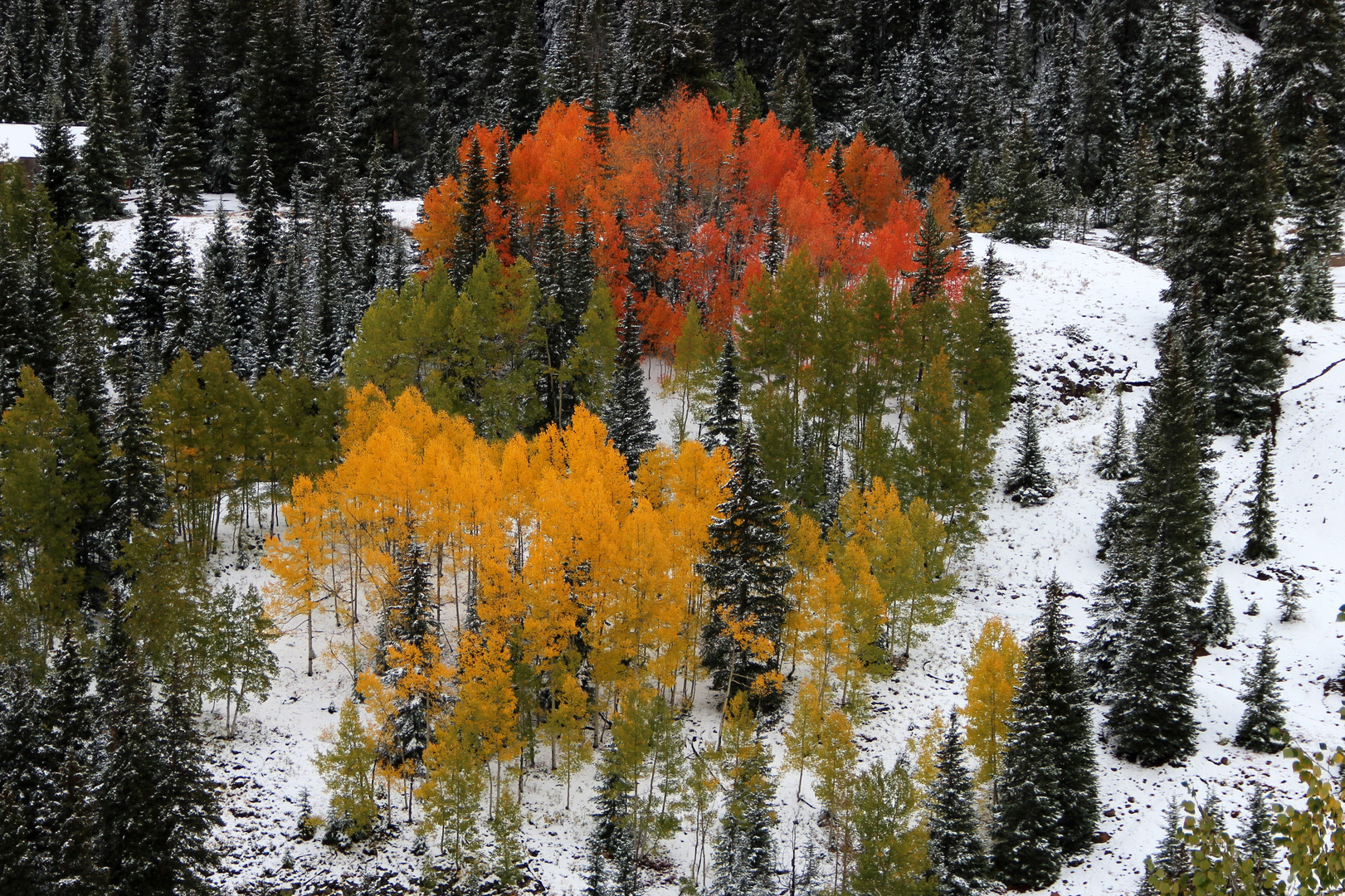 Colorado