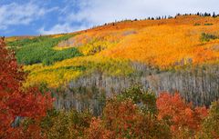 Colorado Indian Summer