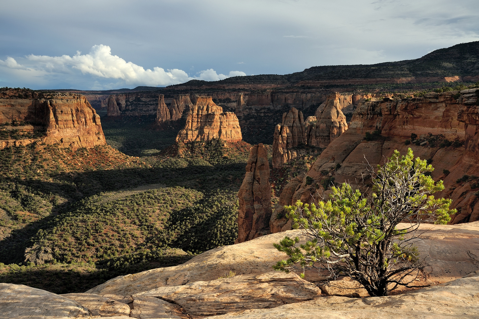 *Colorado National Monument*