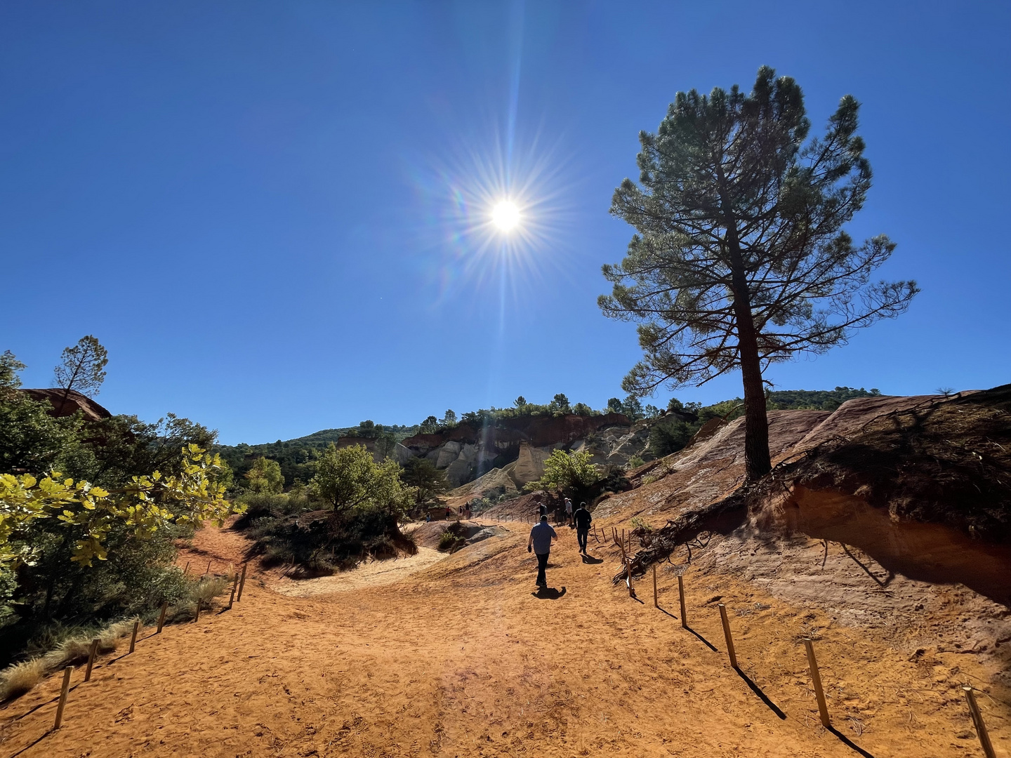 Colorado Provencal