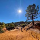 Colorado Provencal