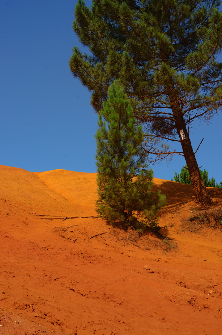 colorado provencal