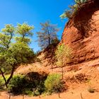 Colorado Provencal