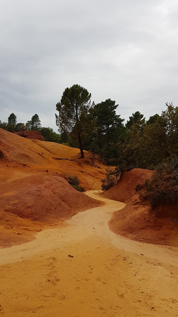 Colorado Provencal