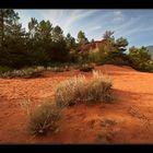 Colorado Provencal