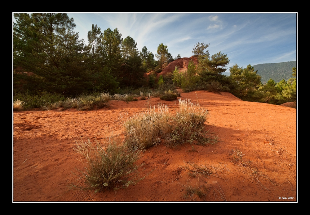 Colorado Provencal