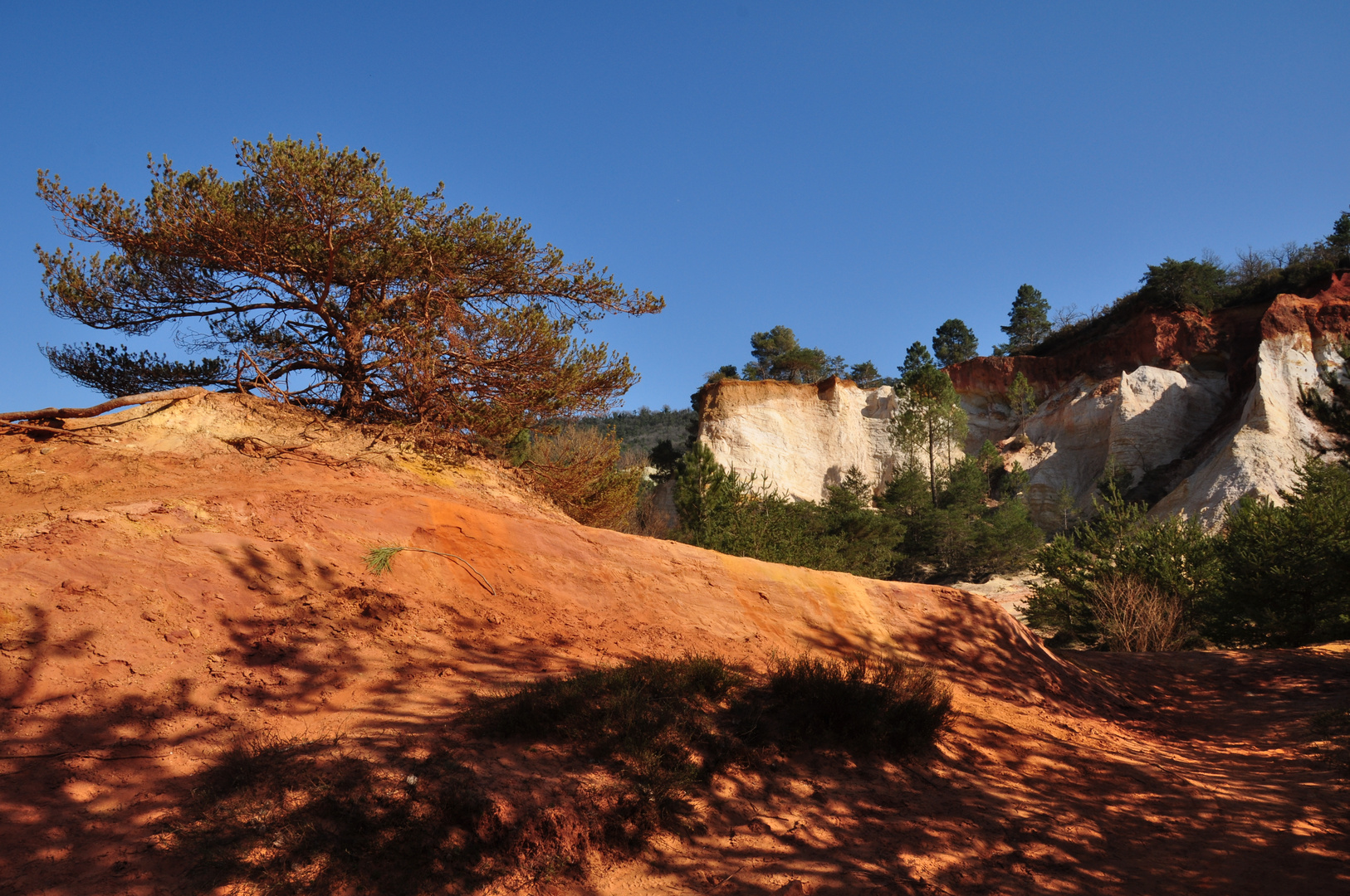 Colorado provencal