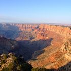 +++ Colorado River +++