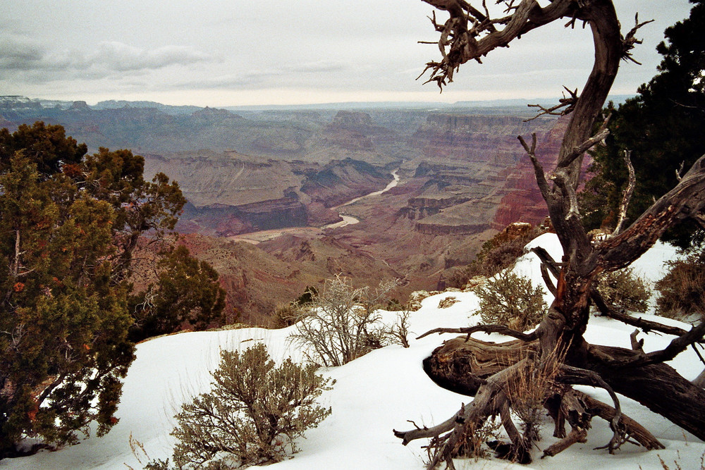 Colorado River!!