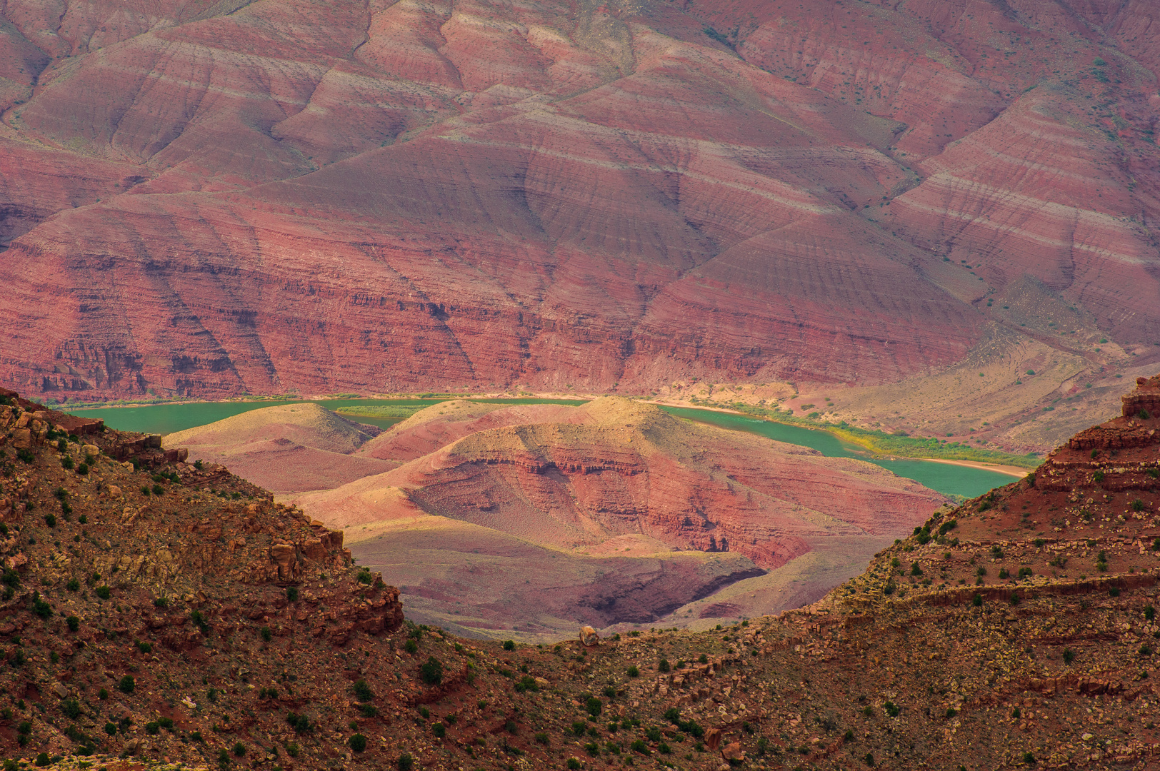 Colorado River im Grand Canyon