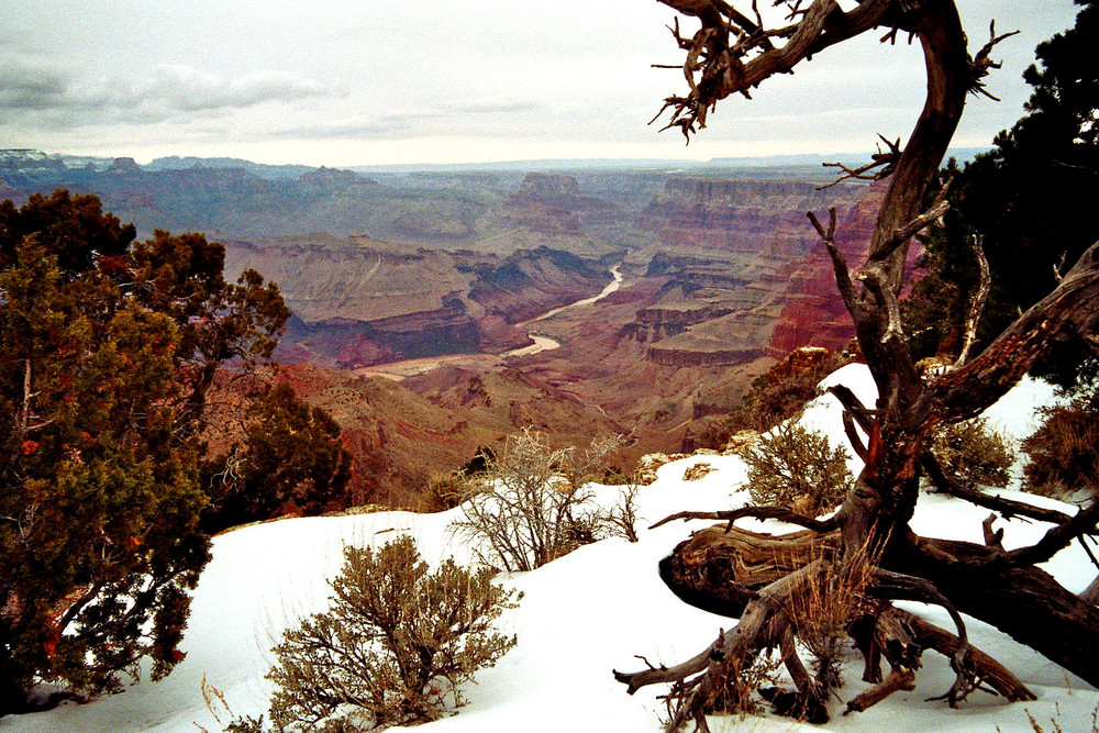 Colorado River (Reload)