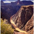 Colorado River vom Plateau-Point im Grand Canyon gesehen