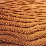 Colorado Sand Dunes