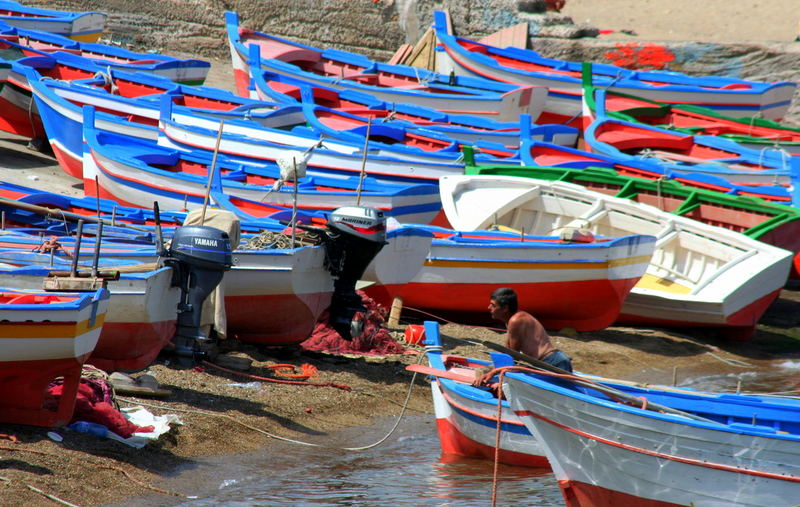 colorando il mare di rosso e di magia.