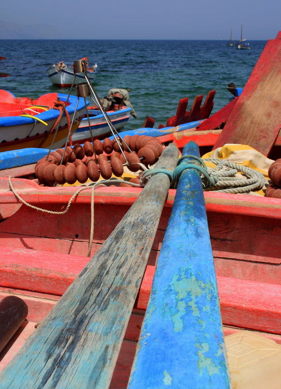 colorando il mare di rosso e di magia. ...