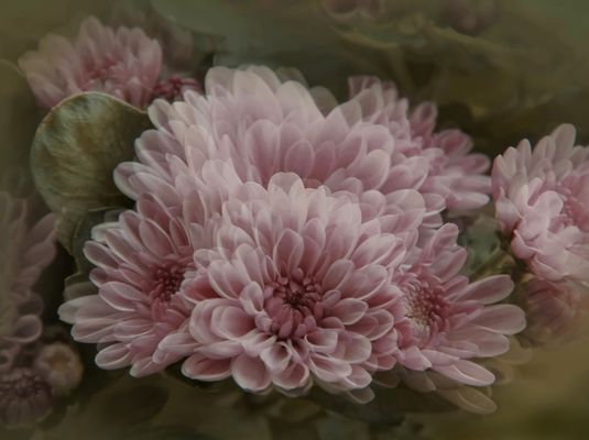 ..colore ..&...colore..6