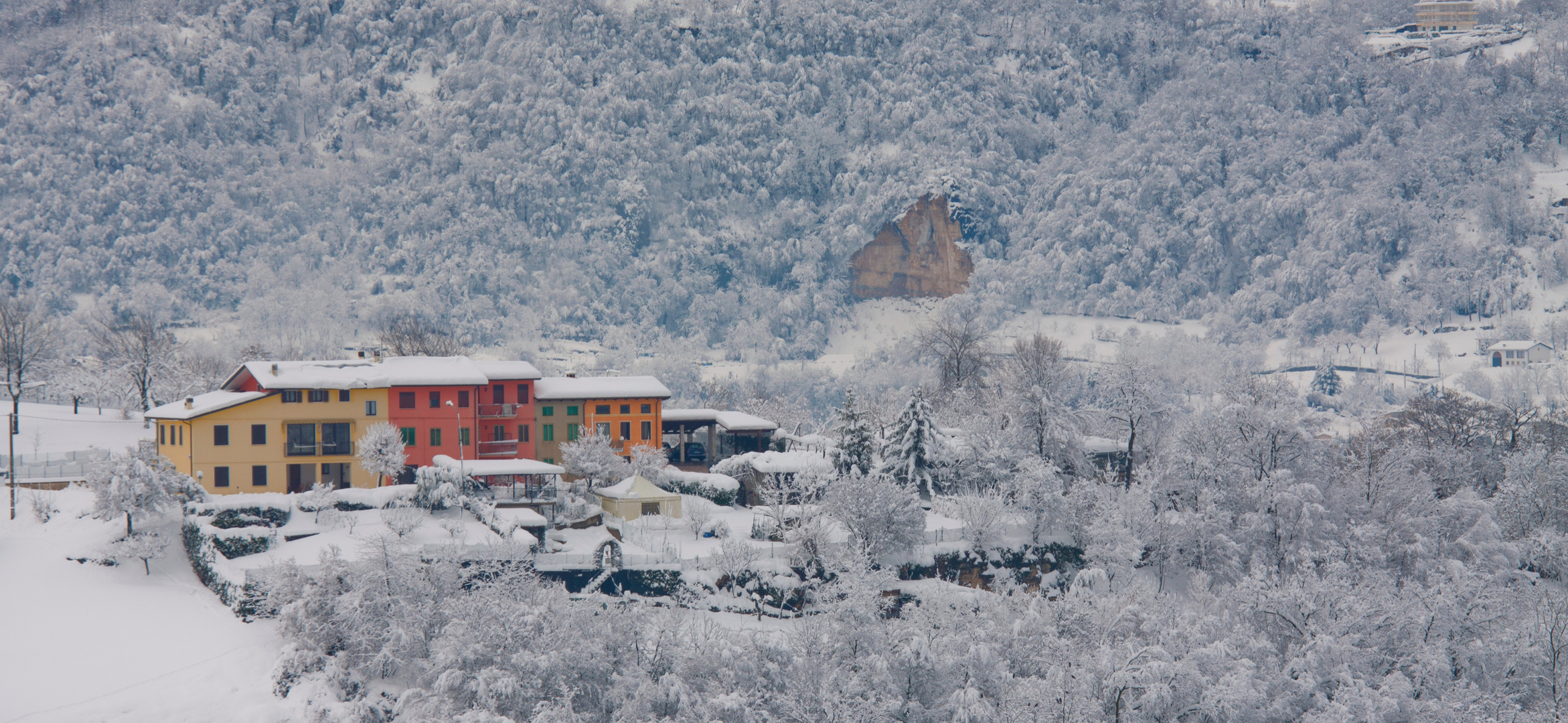 COLORE FORTE