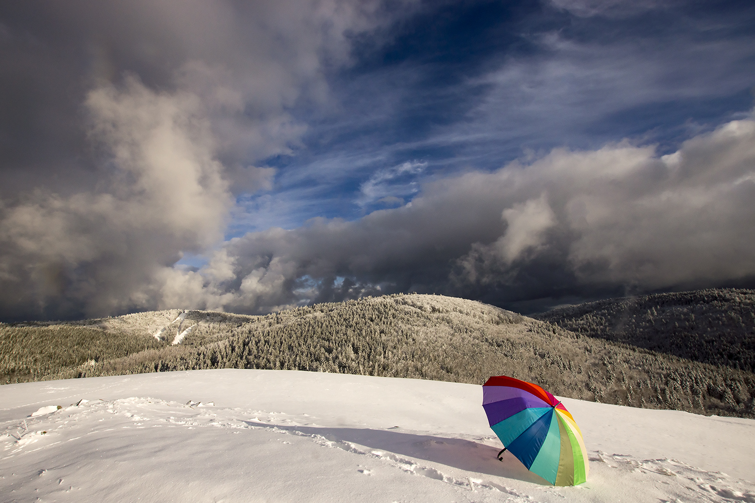 Colore la neige !