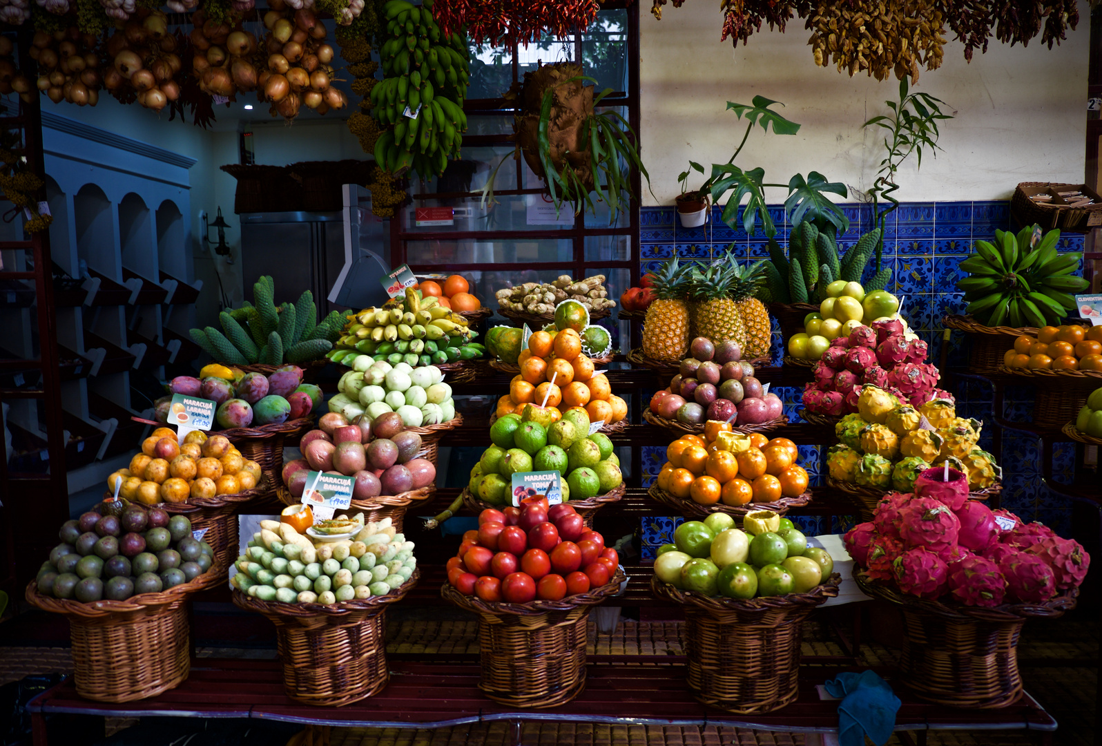 COLORED FRUIT