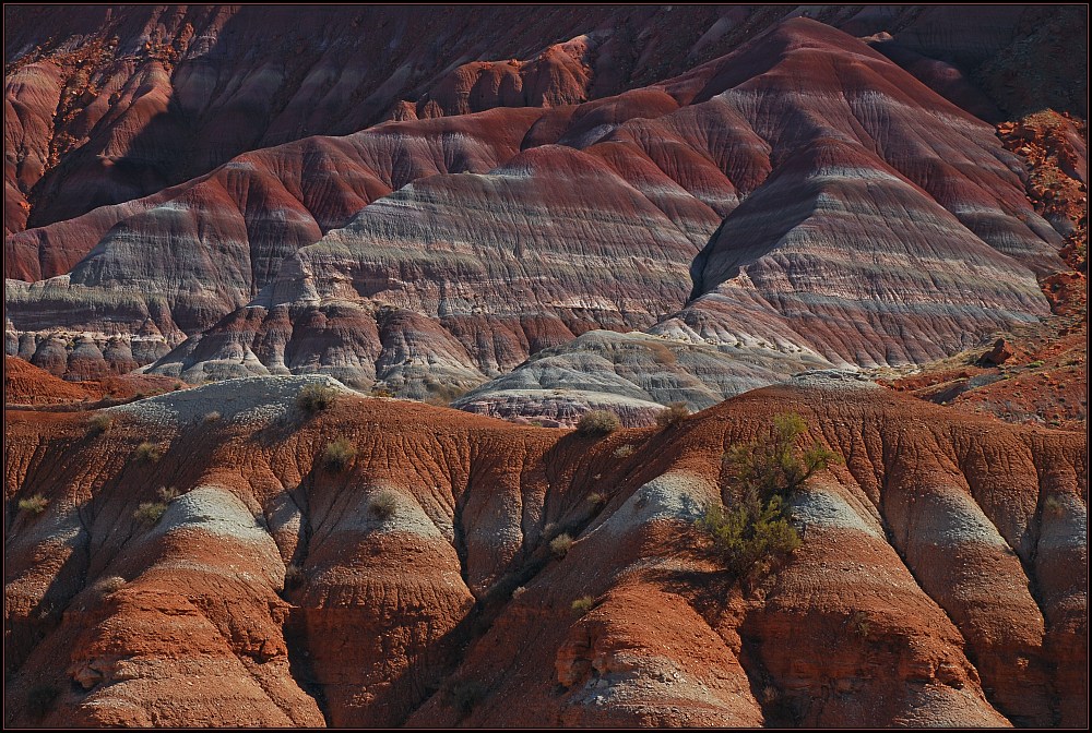 Colored Hills