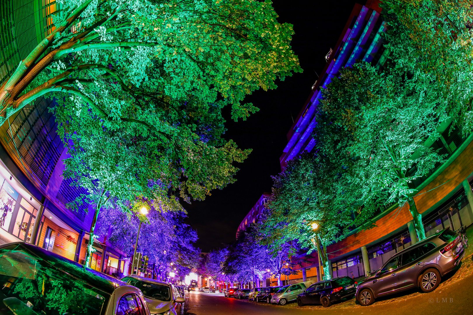 Colored Trees at Night