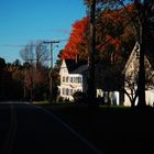 Colored Trees