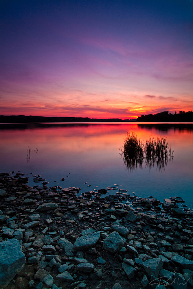 Colored Water